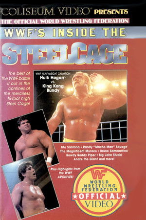 Inside the Steel Cage poszter