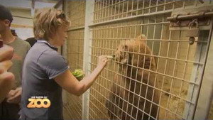 Une saison au zoo Season 4 Ep.8 8. epizód