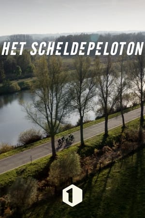 Het Scheldepeloton poszter