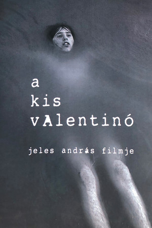 A kis Valentinó poszter
