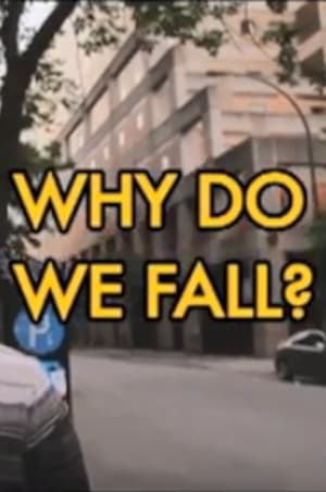 Why Do We Fall? poszter