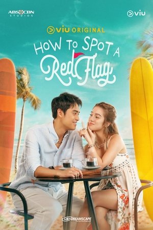 How to Spot a Red Flag poszter