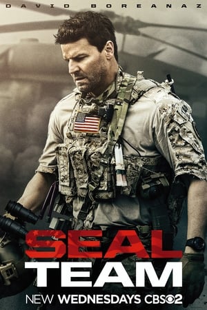 SEAL Team poszter