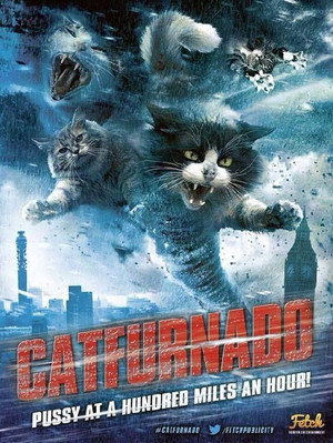Catnado poszter
