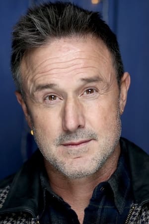 David Arquette profil kép