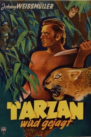 Tarzan és a betolakodók poszter