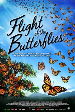 Flight of the Butterflies poszter