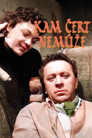 Kam čert nemůže poszter