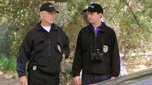 NCIS: Tengerészeti helyszínelők 10. évad Ep.5 A névrokon