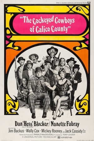 The Cockeyed Cowboys of Calico County poszter