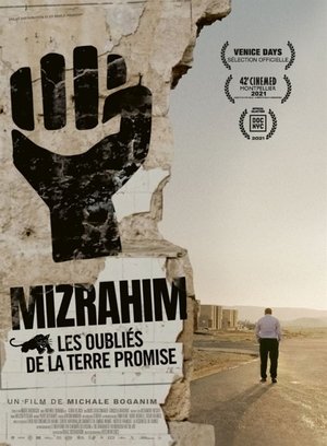 Mizrahim, Les Oubliés de la Terre Promise poszter