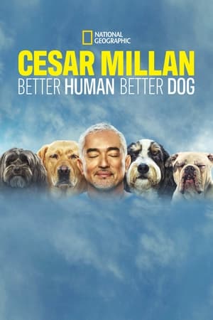 Cesar Millan: Jó gazdi, jó kutya poszter