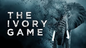 The Ivory Game háttérkép