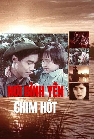 Nơi bình yên chim hót poszter