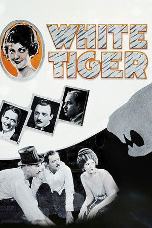 White Tiger poszter