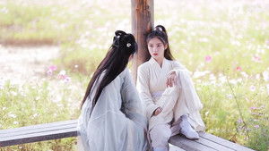 The Young Master and the Tea-Picking Girl háttérkép
