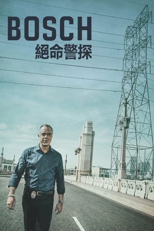 Harry Bosch - A nyomozó poszter