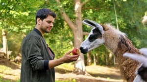 Schlechte Helden oder ein Lama namens Beethoven háttérkép