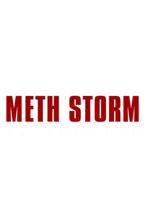 Meth Storm poszter