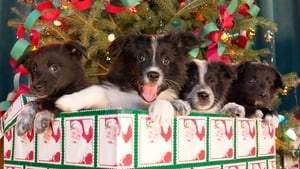 12 Dogs of Christmas: Great Puppy Rescue háttérkép