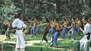 A kung-fu mester háttérkép