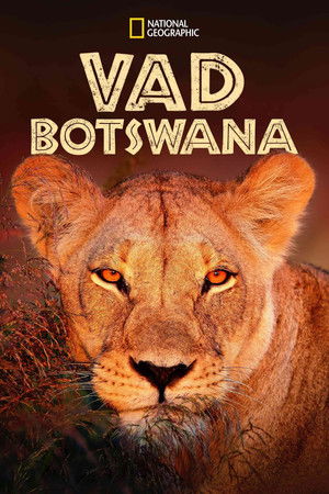 Vad Botswana