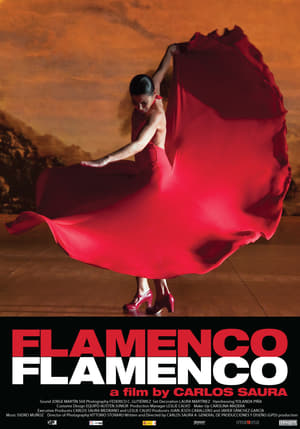 Flamenco Flamenco poszter