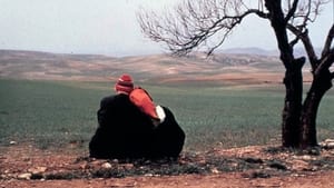 Automne, octobre à Alger háttérkép