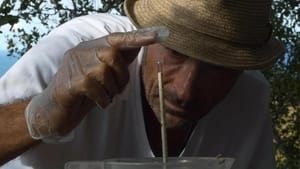 Du vin dans les voiles háttérkép