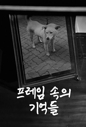 프레임 속의 기억들 poszter