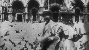 Pigeons sur la place Saint-Marc háttérkép