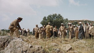 Palestine 36 háttérkép