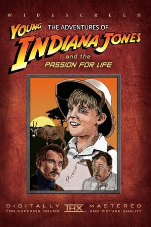 Az ifjú Indiana Jones: 02. Festői kalandok poszter