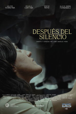 Después del silencio poszter