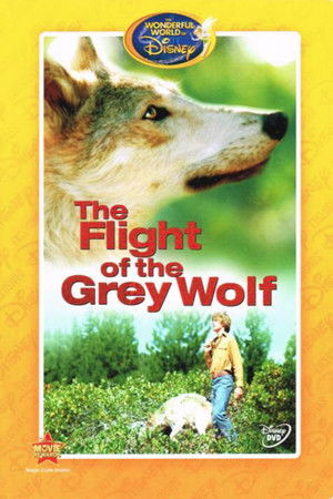 The Flight of the Grey Wolf poszter