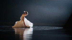 Black Swan: Metamorphosis háttérkép