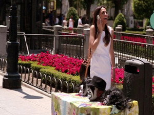 We Love Tamara 1. évad Ep.6 6. epizód