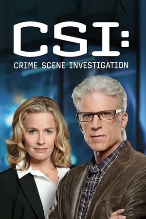 CSI: A helyszínelők poszter