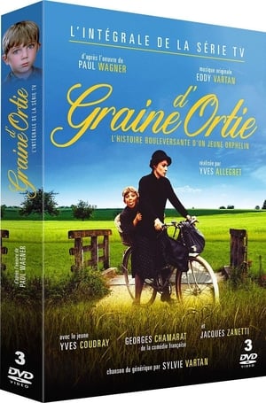 Graine d'Ortie