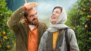 جنگل پرتقال háttérkép