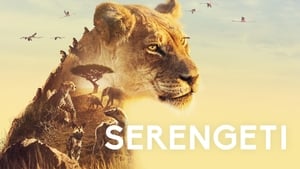 Élet a Serengeti Nemzeti Parkban kép