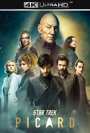 Star Trek: Picard poszter