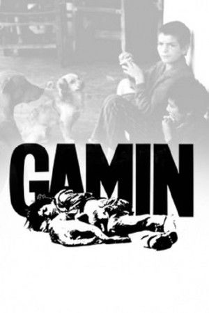Gamín poszter