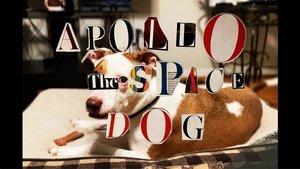 Apollo: The Space Dog háttérkép