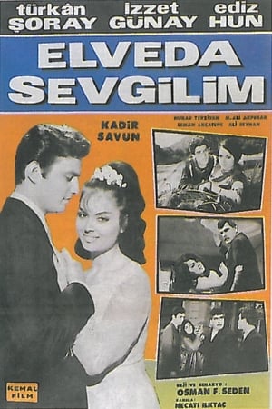 Elveda Sevgilim poszter