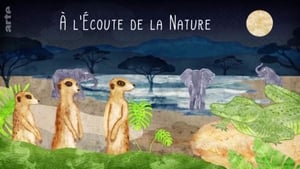 À l’écoute de la nature kép