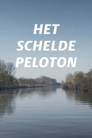 Het Scheldepeloton poszter