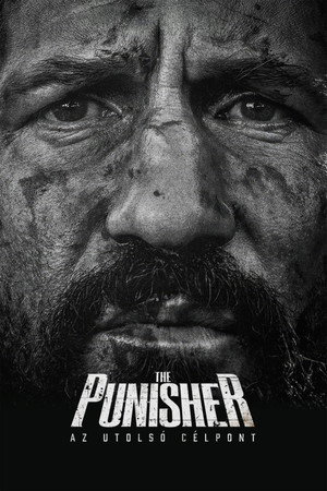The Punisher: Az utolsó célpont