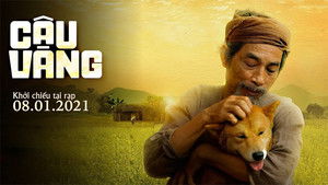 Cậu Vàng háttérkép