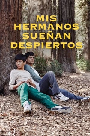 Mis hermanos sueñan despiertos poszter